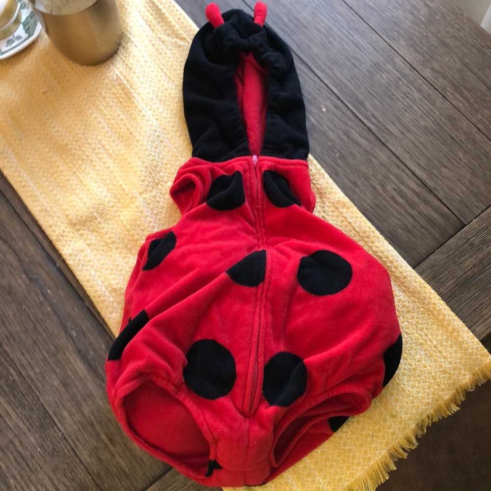 Baby lady bug costume